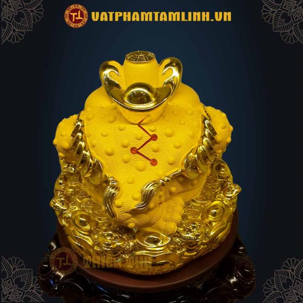 Cóc (Thiềm Thừ) Thả Vàng 