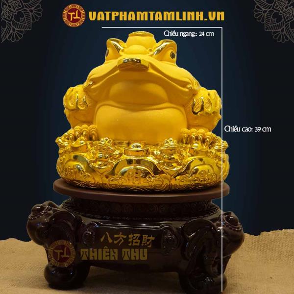 Cóc (Thiềm Thừ) Thả Vàng 