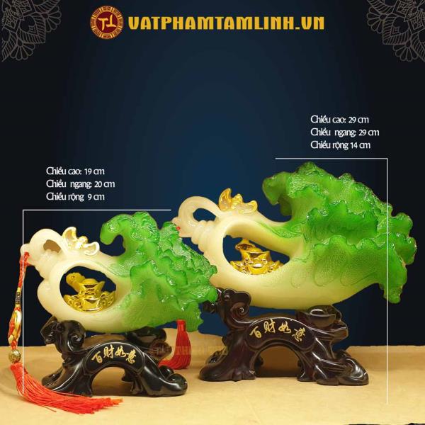 Bắp Cải Tiền Vàng 